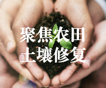 聚焦農(nóng)田土壤修復(fù)，保障糧食產(chǎn)品安全 ——踔厲奮發(fā)、篤行不怠，以奮斗之姿獻(xiàn)禮黨的二十大